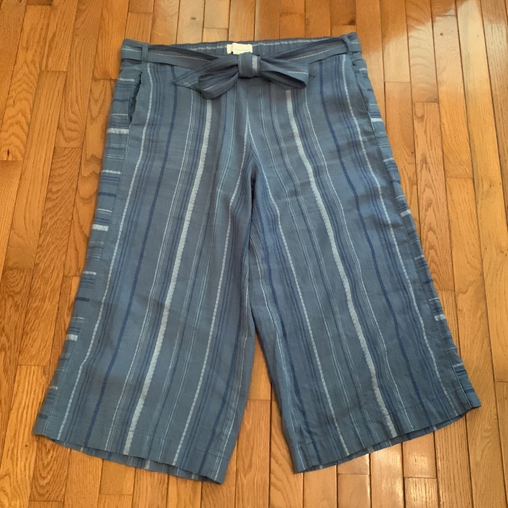 Anthropologie Blue Striped Cropped Pants - Picture 5 of 15